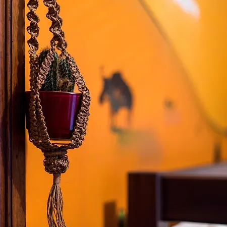 The Monk'S Bunk-2